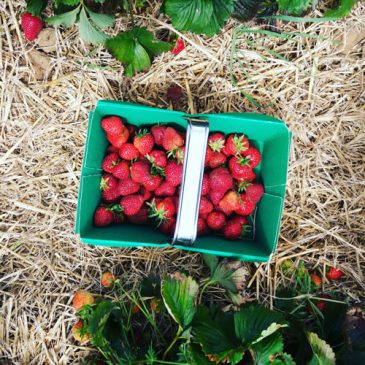 100 things to do in and around South Yorkshire